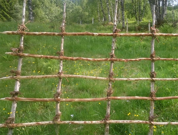 Felles retningslinjer er viktig i en museumsverden som blir stadig mer sammenvevd. Foto: Hesje fra Astruptunet.