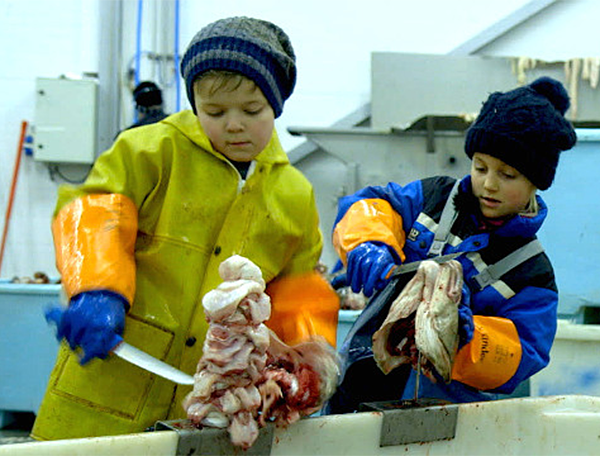 The movie "Tongue cutters" documents the fishing industry in Norway. 
